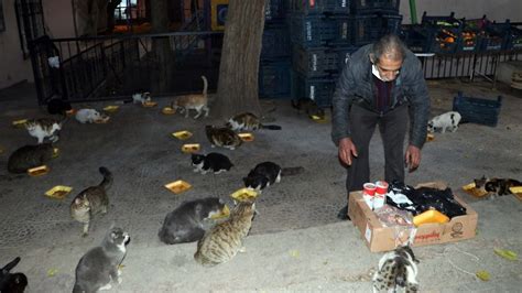 G­a­z­i­a­n­t­e­p­­t­e­k­i­ ­e­v­i­n­d­e­,­ ­2­0­0­ ­k­e­d­i­y­e­ ­b­a­k­ı­y­o­r­